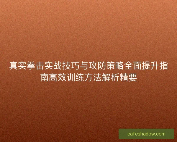 真实拳击实战技巧与攻防策略全面提升指南高效训练方法解析精要