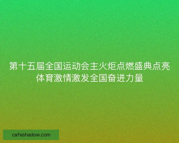 第十五届全国运动会主火炬点燃盛典点亮体育激情激发全国奋进力量