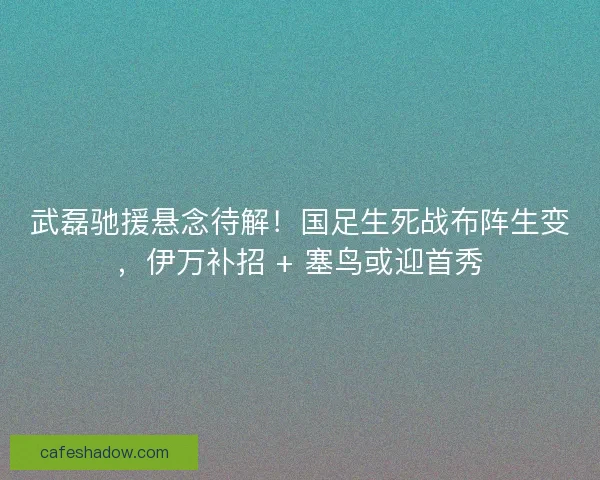 武磊驰援悬念待解！国足生死战布阵生变，伊万补招 + 塞鸟或迎首秀