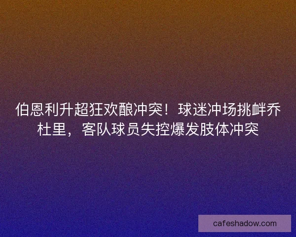 伯恩利升超狂欢酿冲突！球迷冲场挑衅乔杜里，客队球员失控爆发肢体冲突