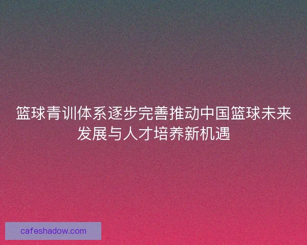 篮球青训体系逐步完善推动中国篮球未来发展与人才培养新机遇
