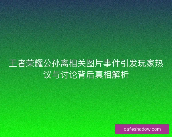 王者荣耀公孙离相关图片事件引发玩家热议与讨论背后真相解析